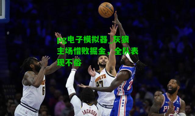 灰狼主场惜败掘金，全队表现不俗